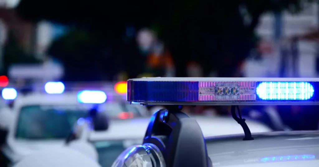 Woman Found Dead in Central Park with Multiple Stab Wounds