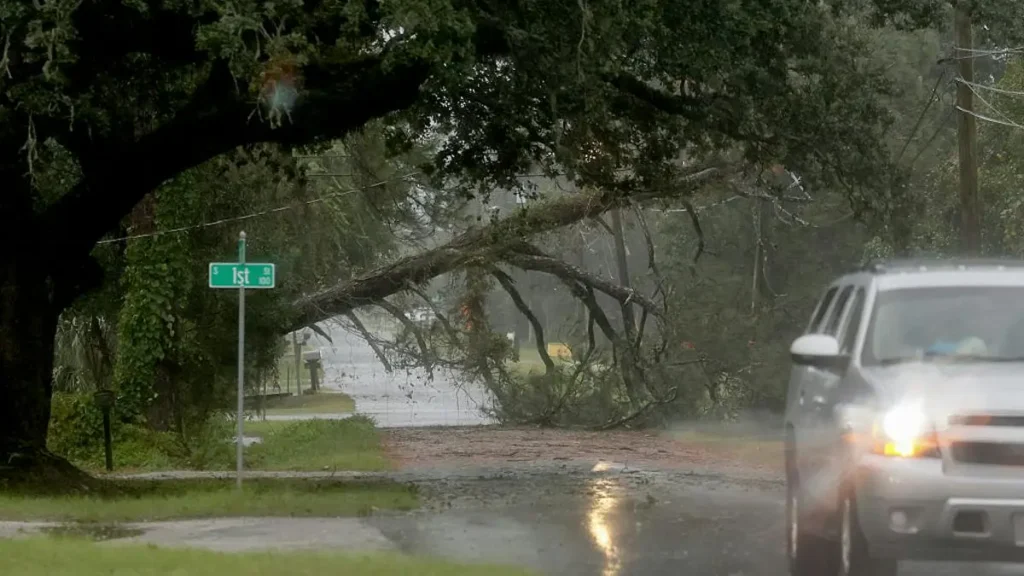 A fallen tree blocks a street in a rainy area, with a car driving past under the overcast sky.