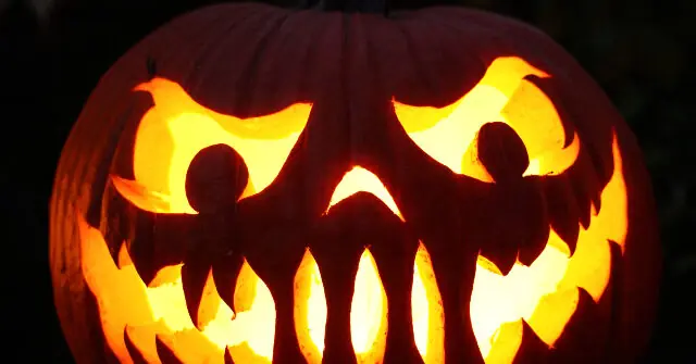 A carved pumpkin with a glowing face and two birds perched on its eyes is illuminated against a dark background.