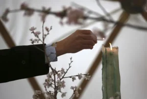 A hand holds a lit match to a candle, with cherry blossoms in the background.