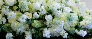 The image showcases a lush arrangement of white and light green flowers, creating a serene and elegant floral display.