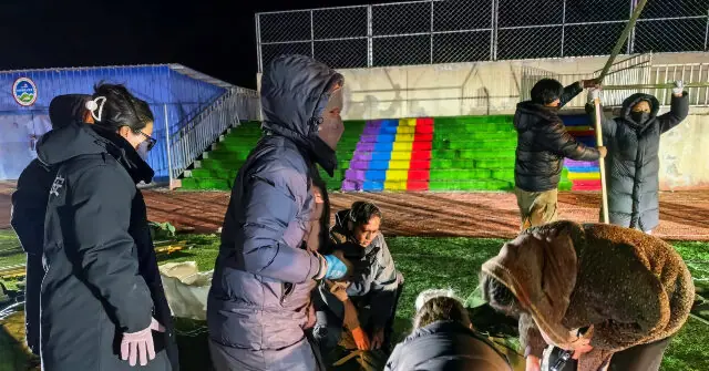 A group of people is working together to install artificial turf on a sports field at night.