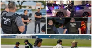Harvard Poll: 77% Support Deporting Criminal Migrants
