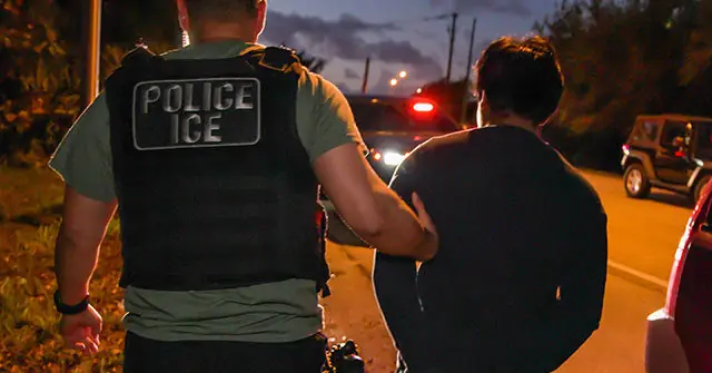 The image depicts a law enforcement officer from ICE (Immigration and Customs Enforcement) apprehending an individual at night.