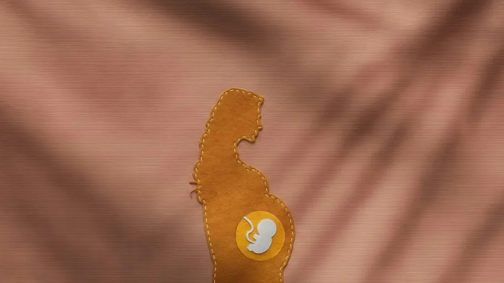 The image depicts a silhouette of a pregnant woman with a circular emblem showing a fetus, set against a textured background.
