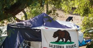 A tent with the California state flag design is set up in a wooded area, surrounded by trees and natural light.