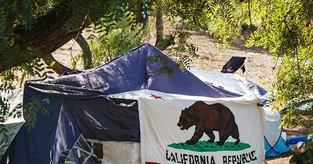 A tent with the California state flag design is set up in a wooded area, surrounded by trees and natural light.