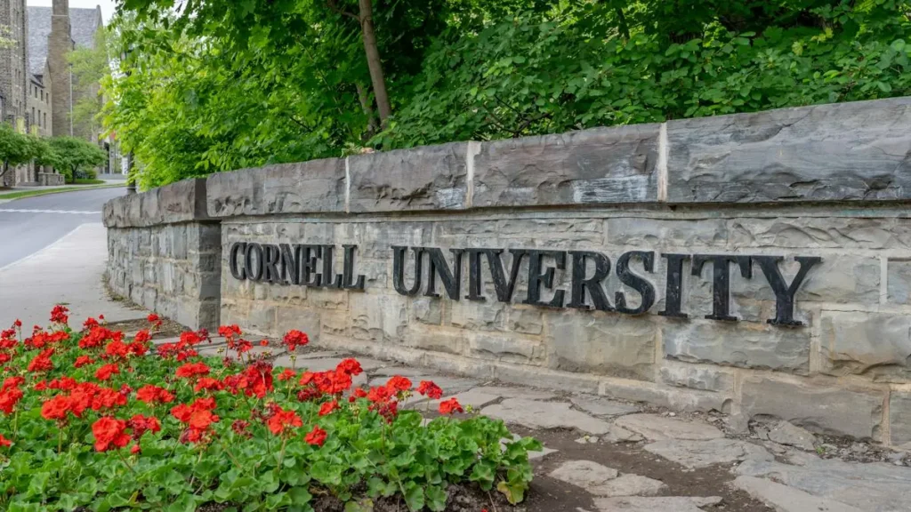 The image shows a stone sign reading "Cornell University" with vibrant red flowers in the foreground and lush greenery in the background.