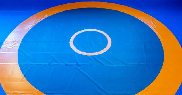 The image shows a circular target with concentric rings in orange and blue, set against a blue background.