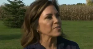 The news photo shows a person outdoors in a grassy area with a cornfield in the background.