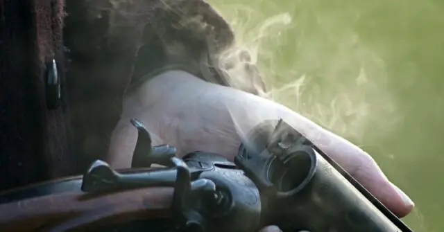 A hand holding a smoking revolver, suggesting a moment of action or conflict.