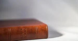 The image shows a close-up of a brown leather-bound Holy Bible with the title embossed on the spine.