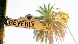 The image shows a street sign for Beverly Drive in Beverly Hills, with a palm tree in the background.