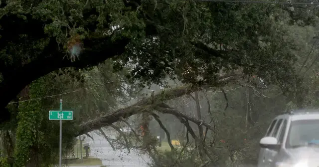 A fallen tree blocks a street, indicating damage from a severe weather event.